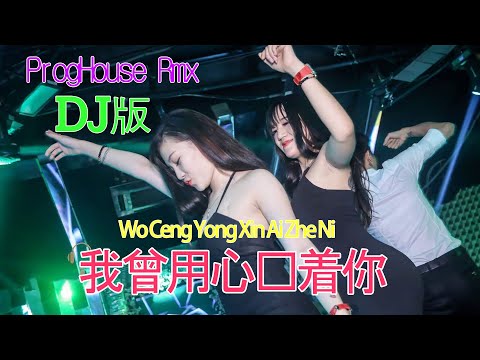 DJ版 我曾用心爱着你 Wo Ceng Yong Xin Ai Zhe Ni 潘美辰 ProgHouse Rmx