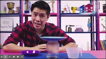 Teacher View of Student Lesson - Distance Learning Lesson 2: Twig Science