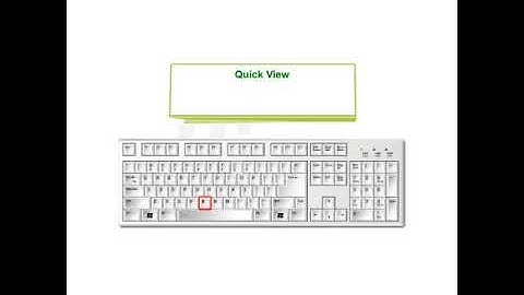 #computer #kips #cybertools Log on to Animate CC || part 2 || class 6