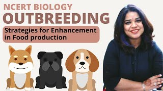 Outbreeding explained | Strategies for enhancement in food production | Class XII | NEET screenshot 4
