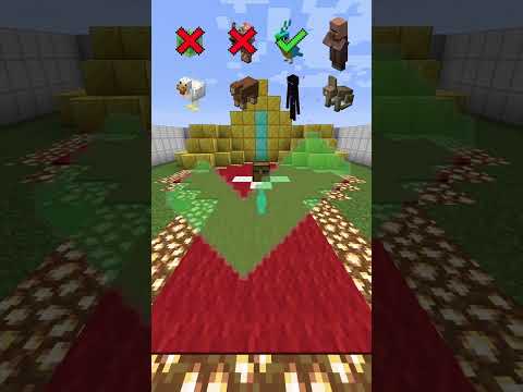 Minecraft Longest Jump