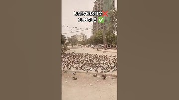Karachi University🇵🇰#shorts#viral#trending#shortvideo#youtubeshorts#viralvideo#funny#comedy#song#fyp