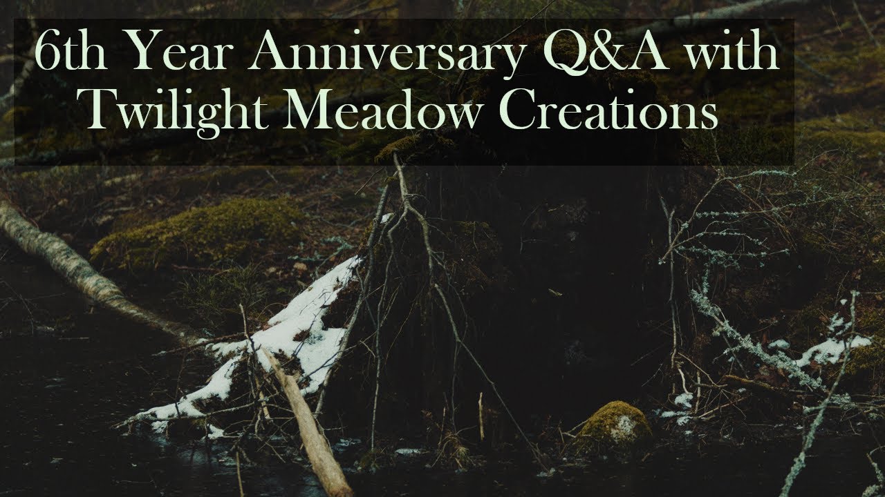 Twilight Meadow Creations 6th Year Q&A