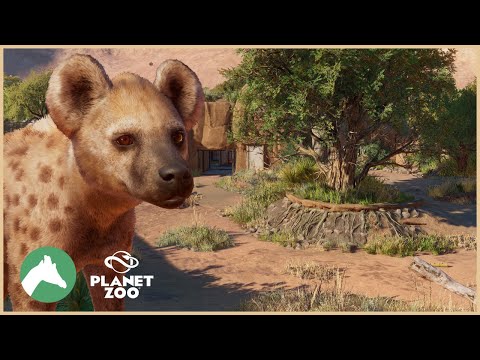 Hyena Habitat & New DLC Speculation! | Desert Adventure Park