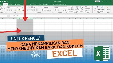 ✅Cara Menyembunyikan dan Menampilkan Baris dan Kolom Pada Mirosoft Excel - Tutorial Excel Pemula