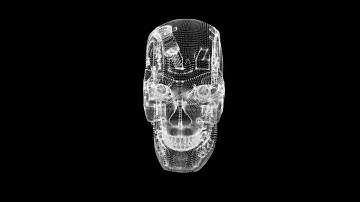 Terminator Head Scan 2