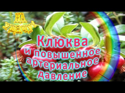 Клюква и повышенное артериальное давление