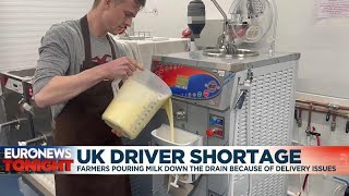 Lack Of Lorry Drivers Forcing Uk Farmers To Throw Litres Of Milk Away