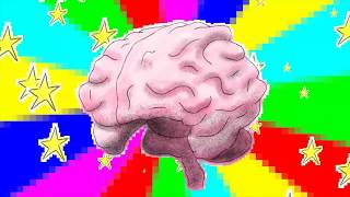 видео Миф о левом и правом полушарии мозга