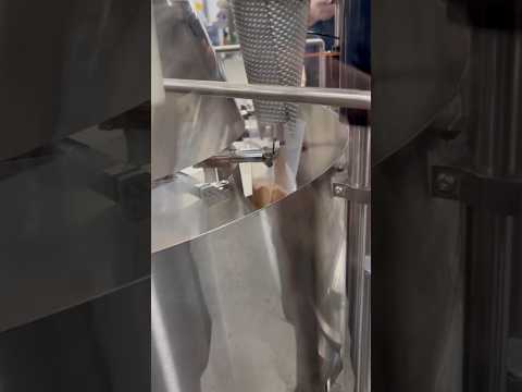 Pre-Made Pouch Filling Machine | Automated Pouch Packaging in Action