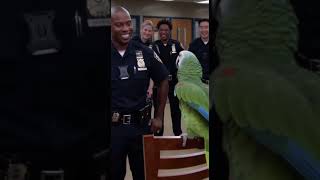 Download Lagu Je kunt geen hindernisbanen rennen!😁 MP3