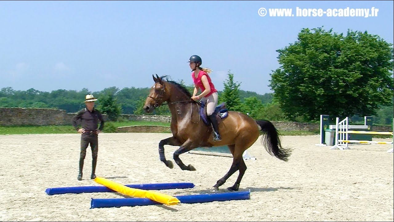 Exercice avec des barres au sol . Horse Academy by Michel