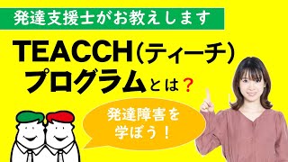 TEACCH（ティーチ）プログラムをわかりやすく解説！【四谷学院の発達支援】