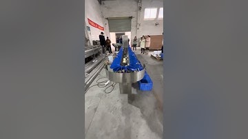 10 levels oyster weight sorting machine #weightmachine #weighingmachine #weighingscale
