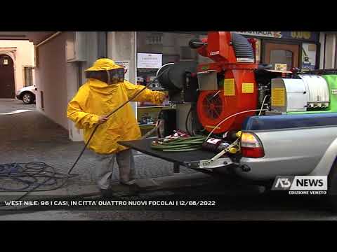 WEST NILE: 96 I CASI, IN CITTA' QUATTRO NUOVI FOCOLAI | 12/08/2022