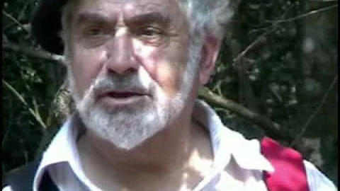 Historique Pierre de Tinon
