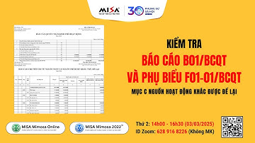 Chiều 03/03 | Kiểm tra báo cáo B01/BCQT và F01-01/BCQT mục C. Nguồn hoạt động khác được để lại