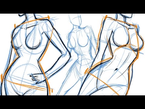 How To Draw The Female Body Youtube