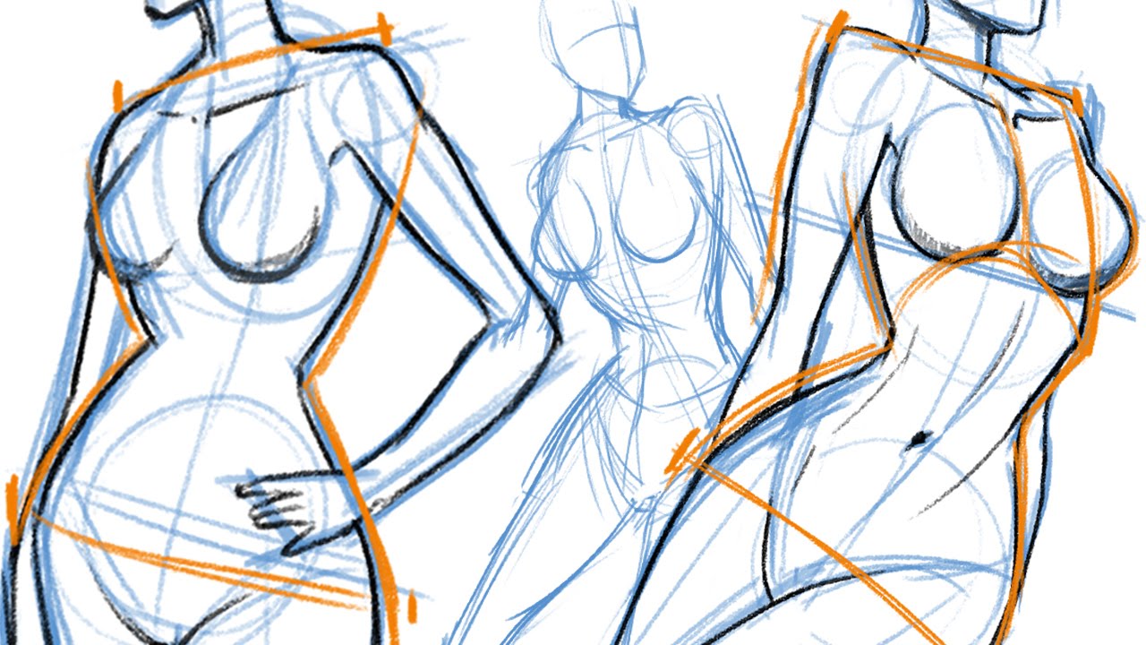 Featured image of post How To Draw A Female Torso Draw small circles on the top corners of the hourglass shape if you want to visualize the shoulder joints better