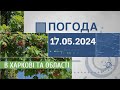 Прогноз погоди в Харкові та Харківській області на 17 травня