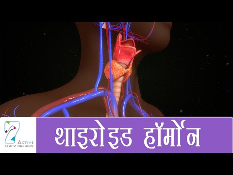 वीडियो: क्या थायराइड हार्मोन दूसरे दूतों का उपयोग करता है?