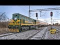 Rail traffic in Serbia - Track switches - Station train dispatcher - Naumovićevo [4k]