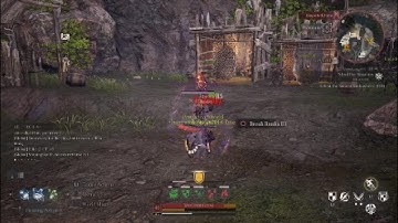 Alpha 1v1 Exposure ( The Fallen ) Bless Unleashed