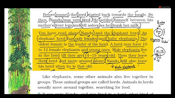 NCERT | Class 4 | EVS | Looking Around | Chapter 3 |  A Day With Nandu | Tamil