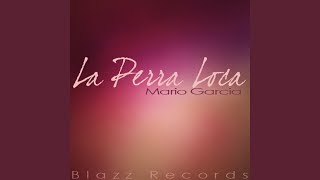 La Perra Loca (Dj Shayne B Mix)