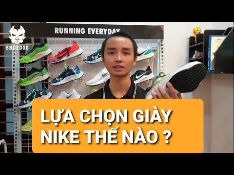 Video: Giày Chạy Bộ: Các Sắc Thái Của Sự Lựa Chọn