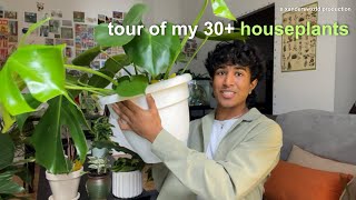 tour of my 30+ plants in my nyc apartment | i live in a jungle??