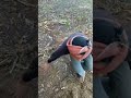 الحاج مبروك الضحك حسنين خازوق 
