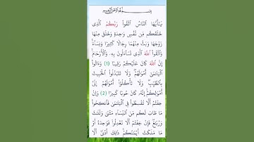 سورة النساء القارئ علاء عقل