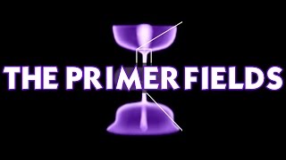 OS CAMPOS PRIMÁRIOS DA GEOMETRIA SAGRADA THE PRIMER FIELDS COMPLETO HD