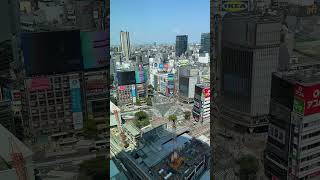 Come to a cafe with the best view in #Shibuya!