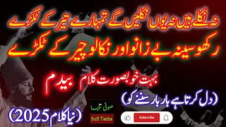 Na Nikle Hain Na Yoh Niklain Ge Tumhare Teer K Tukre Rakho Seena Be Zanno Or Nikalo Ch..| Sufi Tanha