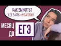 Месяц до ЕГЭ || Что Делать?