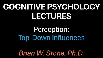 Cognitive Psychology - Perception Pt4 - Top Down Influences