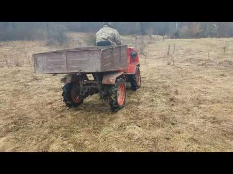 Прикарпатець(ліс)