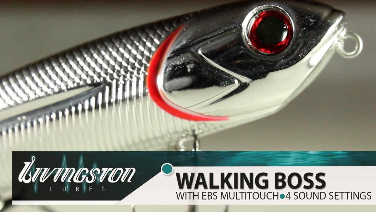 Livingston walking boss Clearance