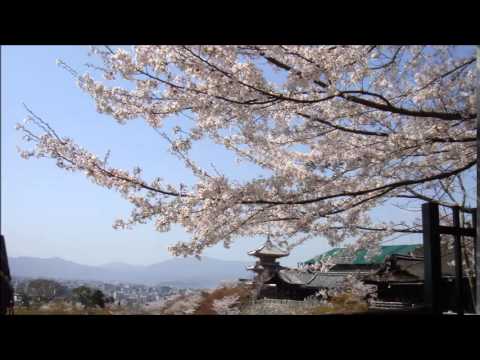 「酒尽尽」　五木ひろし　cover 清紅