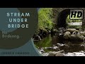 Forest River Nature Songs - Stream Under Bridge - HD 1 Hour Version - Calming Series Ep.1