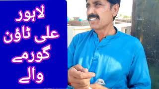 لاہور کے مشہور استاد اللہ دتہ کبوتر بازی  interview    pigeon loft how to kabutar & beautiful pigeon