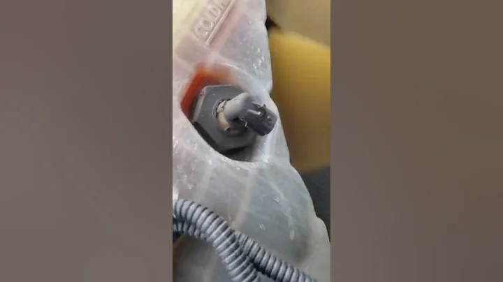 Freightliner,  living it's best life at over a million miles.