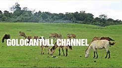 LAGU COUNTRY TERPOPULER DI ERA 90AN  - Durasi: 3:54. 