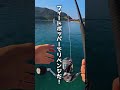 ラピードとフィードポッパーは相変わらず最強・・・ #釣り#fishing #ショアジギング #ショアジギングロッド