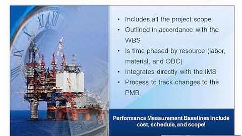 Deltek - Cost Management for Dummies