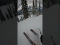 #Revelstoke lines! The tasty glades. Follow for more #powderskiing content. #ski #skibum #revy