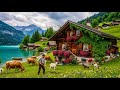 سويسرا   أجمل ريف على وجه الأرض   يوم رائع في جبال الألب السويسرية     