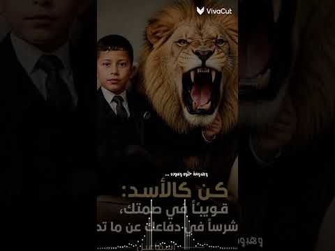 ١٢ أغسطس، ٢٠٢٦